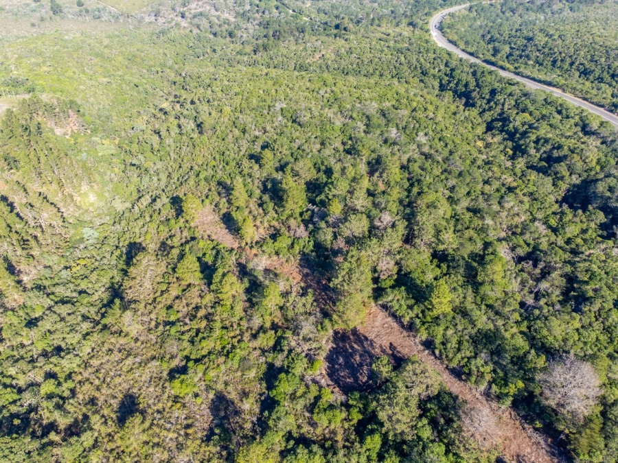 Commercial Property for Sale in Plettenberg Bay Rural Western Cape